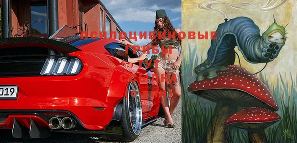 меф Коряжма